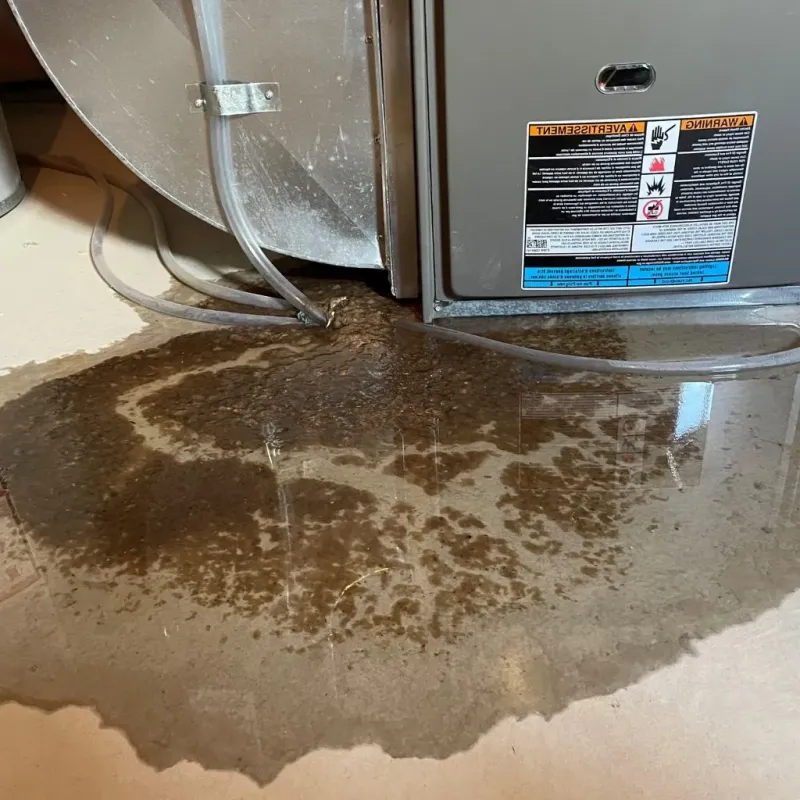 Pipe Burst and Leak Restoration in Culver City, CA